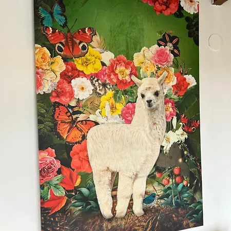 Estudio Rural Life Cantabria Isla Plana